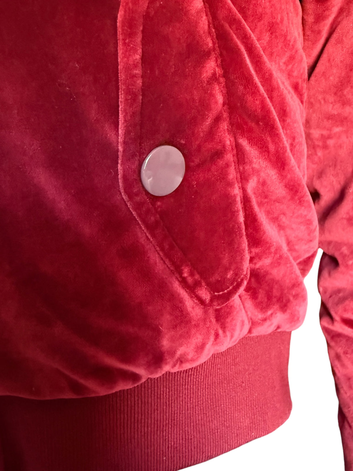 Dolce & Gabbana Red Velvet Bomber Jacket: Floral Embroidery, Leopard Lining (Made in Italy)